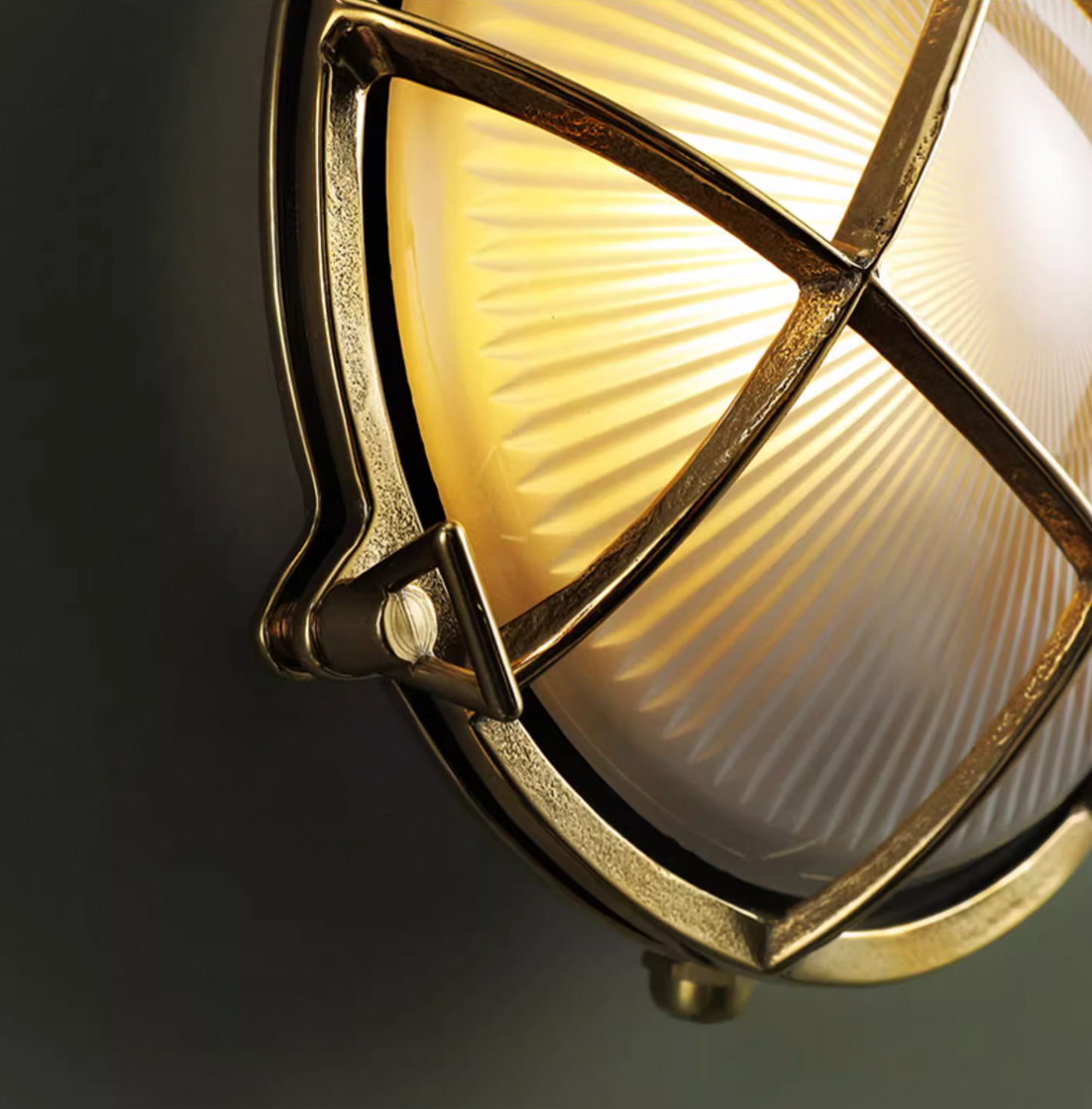 Nautilus Oval brass cage outdoor wall light / ceiling Light