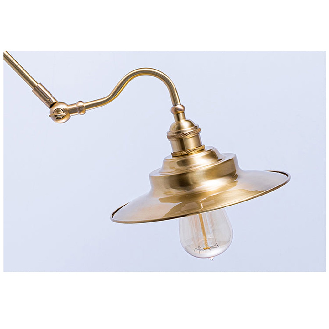 Brass Gooseneck Wall Light