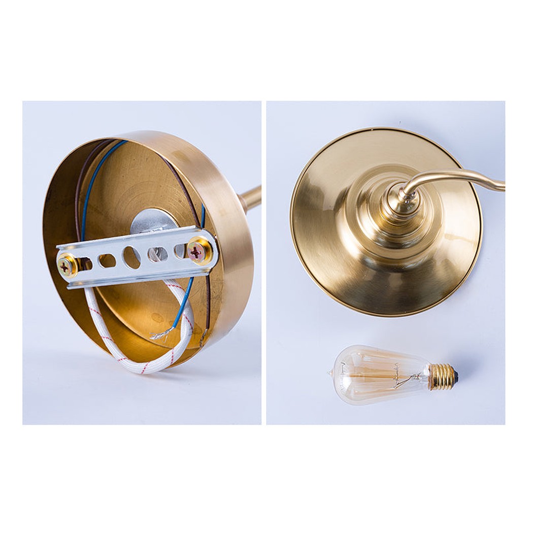 Brass Gooseneck Wall Light