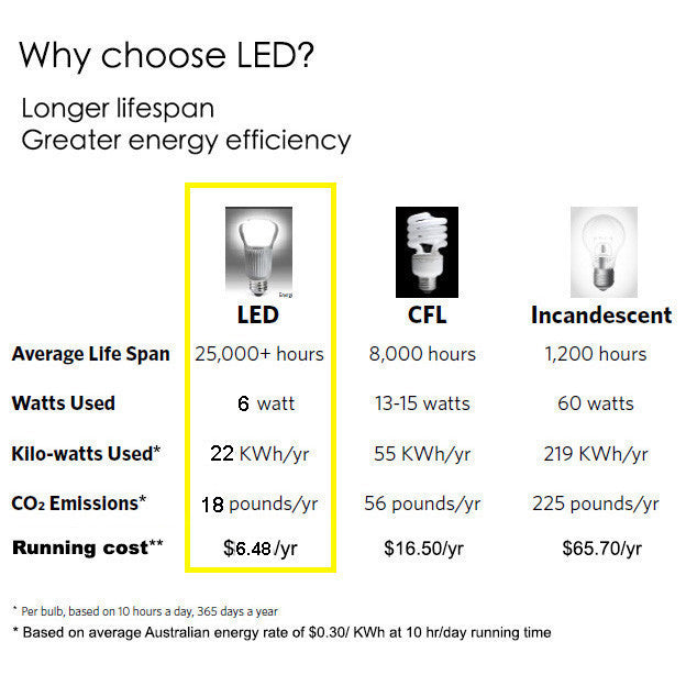 LED edison filament bulb 6 Watt G95. 9.5cm Diameter