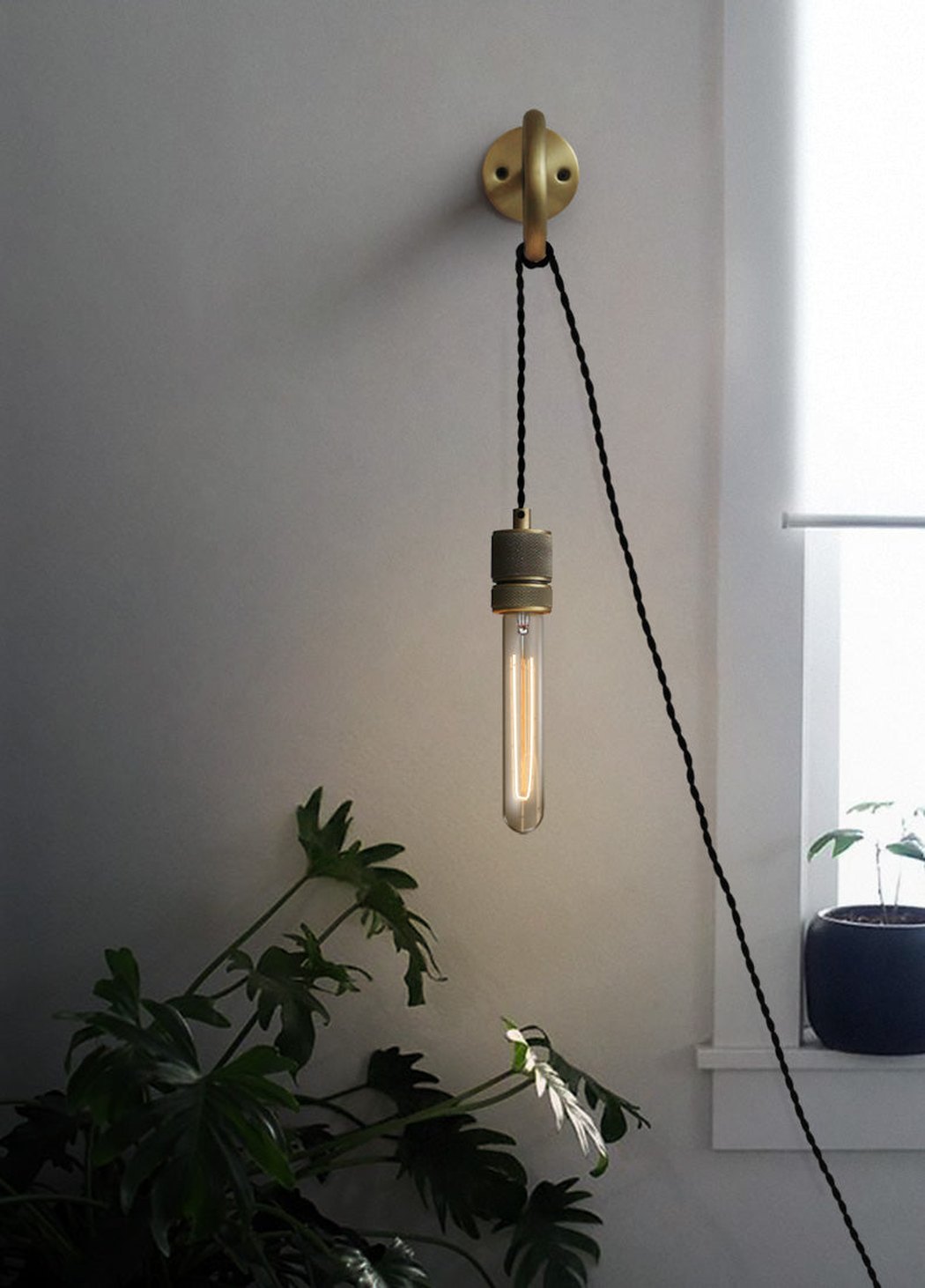 Circus Loop Brass Wall Light With Wall Plug