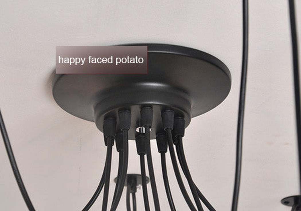 10 head ceiling rose in black