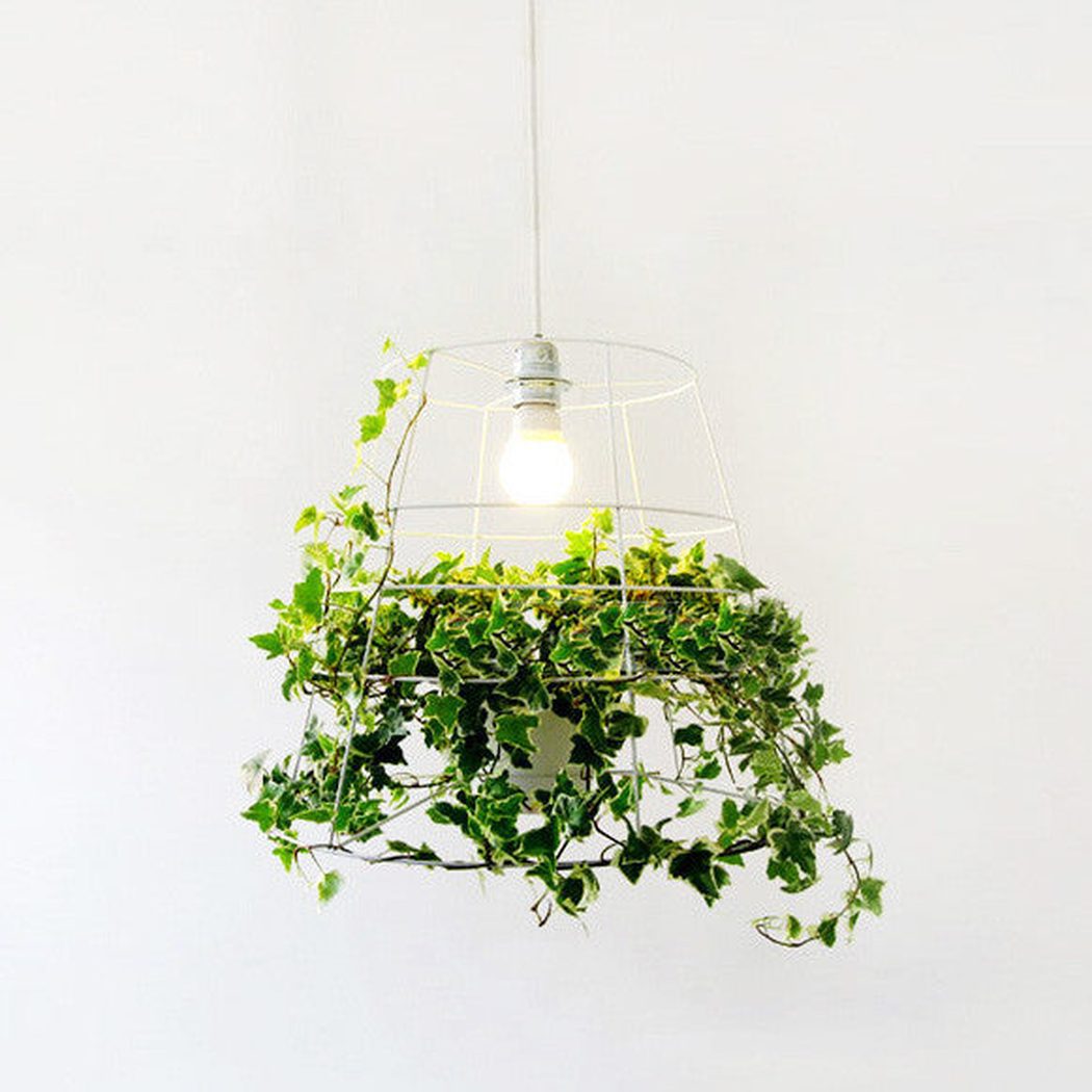 hanging light with planter Hanging Plant Cage Pendant Light