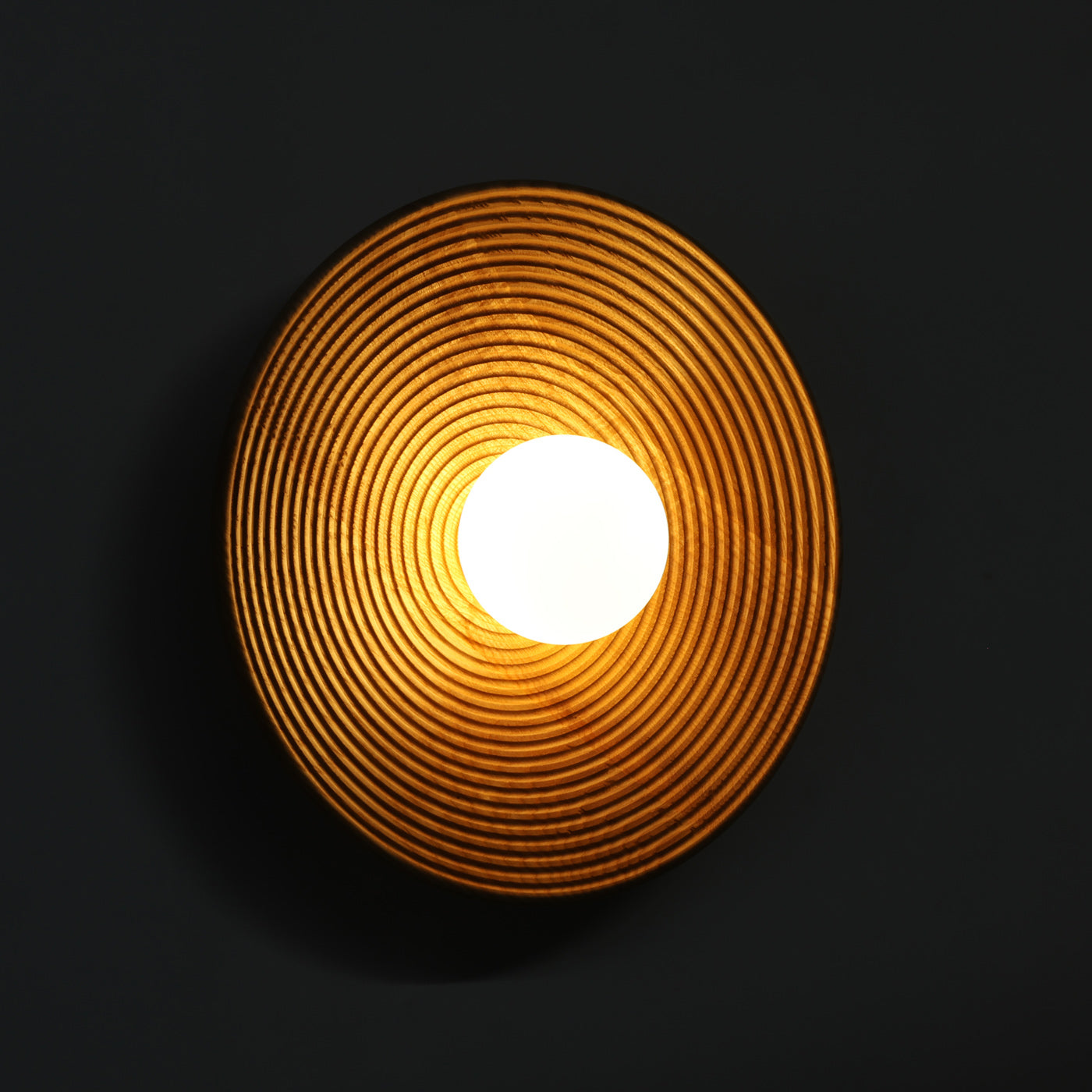 Longleaf Natural Wooden Plate Wall Light