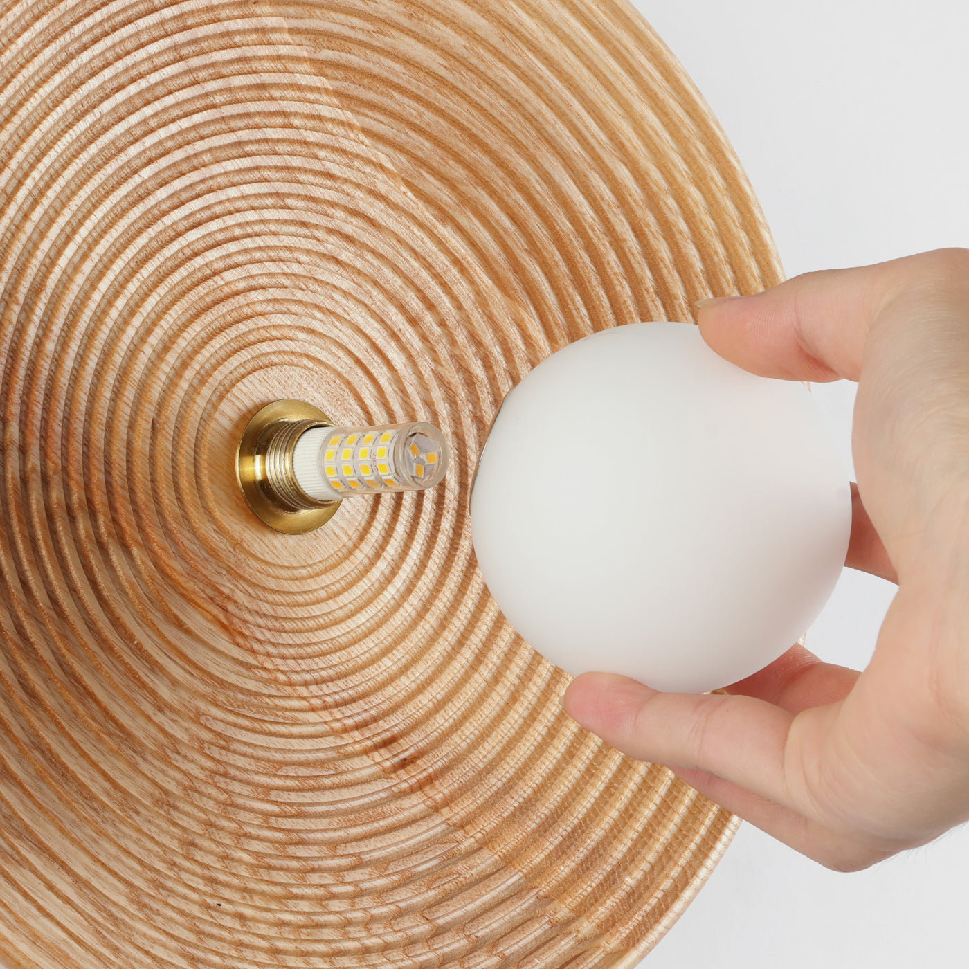 Longleaf Natural Wooden Plate Wall Light