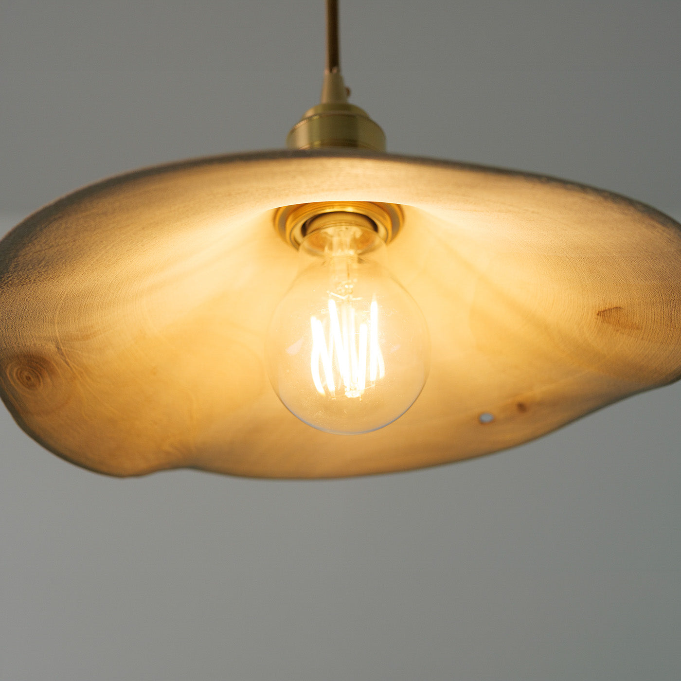 Yakusugi Wabi-sabi Wood Pendant Light