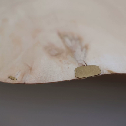 Yakusugi Wabi-sabi Wood Pendant Light