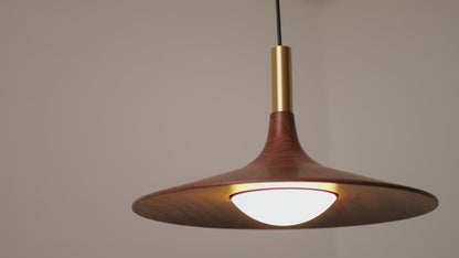 Ligno Walnut Wood Pendant Light