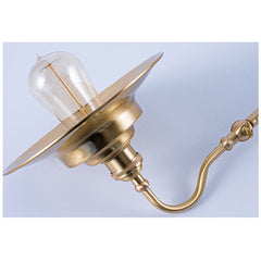 Brass Gooseneck Wall Light