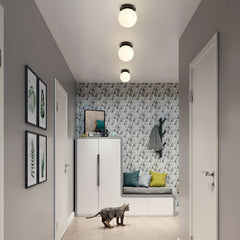 Odesa Black Round Sphere Minimalist Wall Light / Ceiling Light