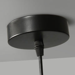 Enzo minimalist curve tinted glass shade pendant light ceiling rose