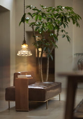 Fleur Provincial Mid century modern Pendant Light