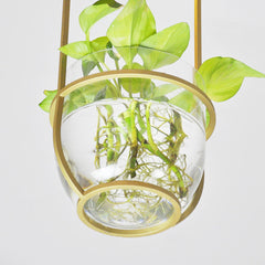 Hanging plant vase pendant light in brass