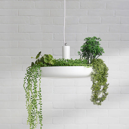 white hanging plant light