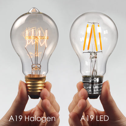 A19 halogen and LED bulb