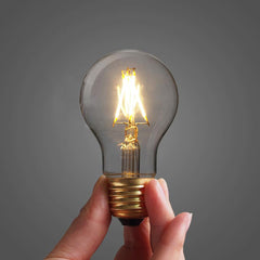 Classic Edison Light Bulb A19 4W LED